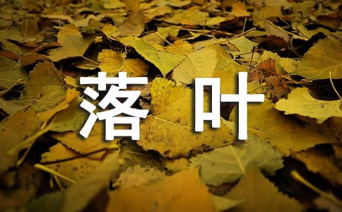 秋风起，落叶飘，惜生命作文