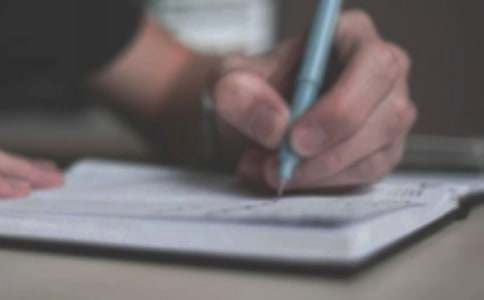 会飞的母鸡作文(精选25篇)