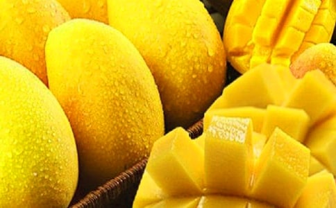 芒果树四年级作文