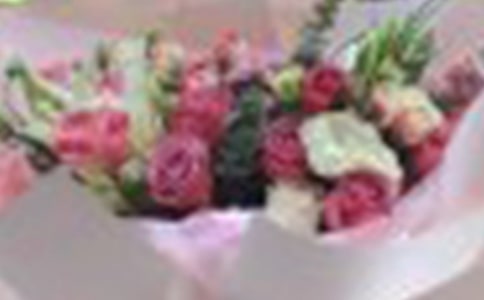 玫瑰和小草童话作文