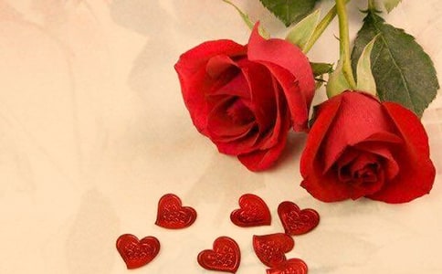 天气玫瑰小学生作文