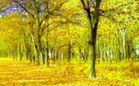 高三写景作文：幻想的美景