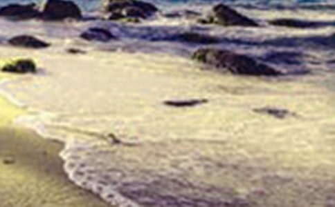 乡村美景的三年级作文范文