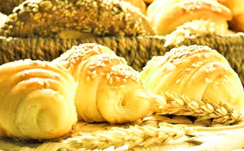 种面包高一作文1000字