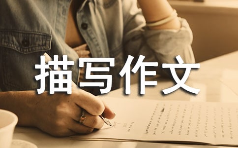 五年级数学比赛场面描写作文