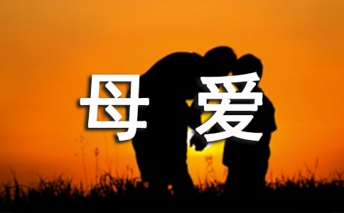 这次我真正的懂得了母爱作文