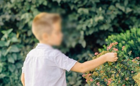 小男孩的自述高三作文