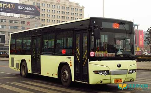 挤公交车二年级作文