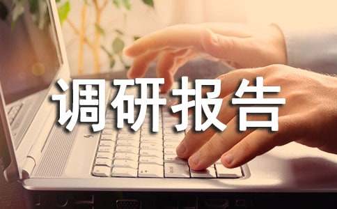 农村经济发展调研报告范文(优)