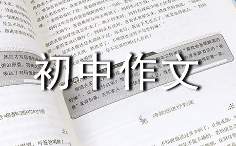 关于升入初中作文汇编7篇