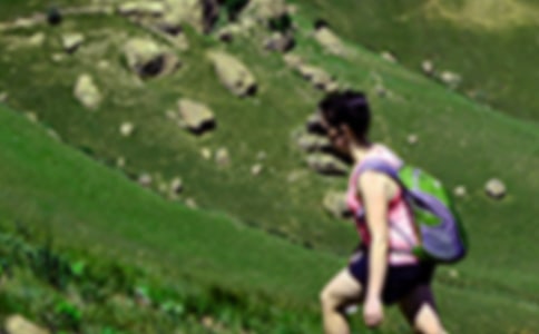 爬山初二作文450字