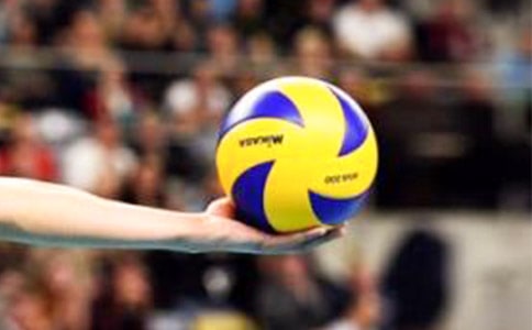 风暴中的排球赛六年级作文