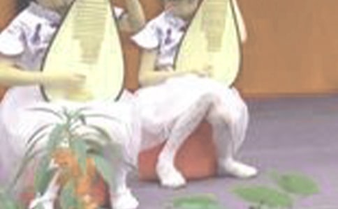 第一次弹琵琶作文