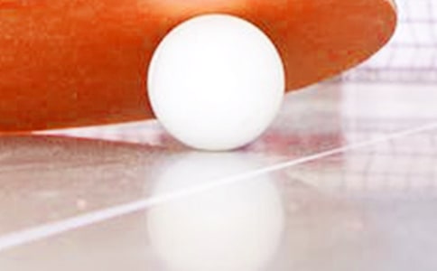 我喜爱的乒乓球动员马琳五年级作文