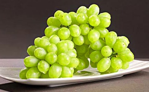 小葡萄的旅行六年级作文