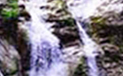 美丽的峨庄瀑布小学作文