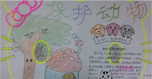 保护动物手抄报小学生简单好看精选8张