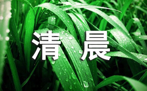 清晨的树林小学生作文