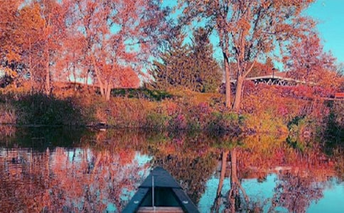 秋日的倔强优秀作文