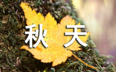 秋天不回来初三作文1000字