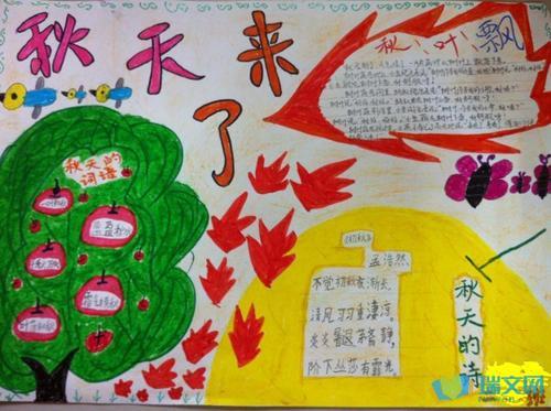 精彩的秋天手抄报-走进金秋