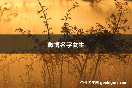 微博名字女生