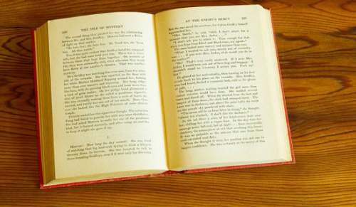 要对你的相貌负责阅读答案