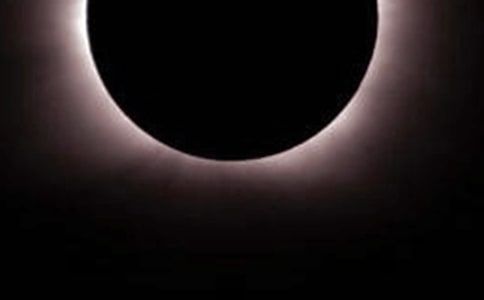 观日食四年级作文