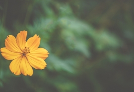 放过自己（值得一读！）