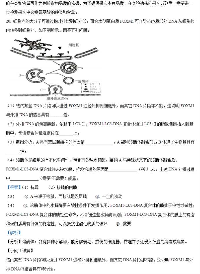 1706234316461487.png 2024届广西九省联考理综生物试题及答案