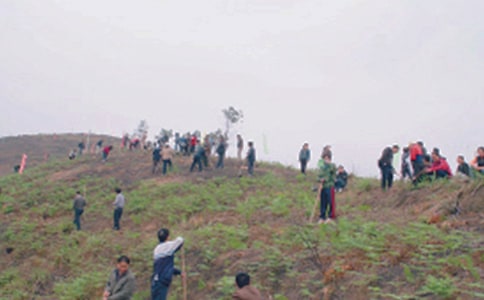 象鼻山扫墓三年级作文