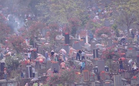 扫墓小学作文350字