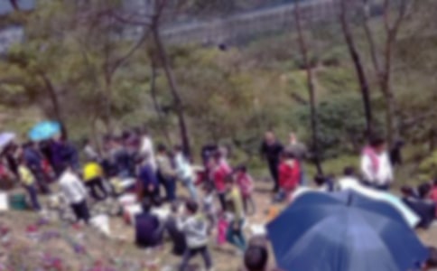 老鹰山烈士陵园扫墓记作文750字