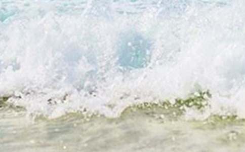 美丽的夏天的作文8篇