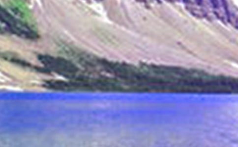 梦中的山水恋初二作文