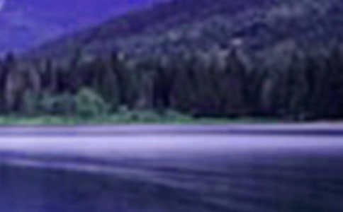 走进那一片山水小学作文