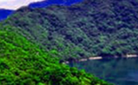 山水抠五年级作文