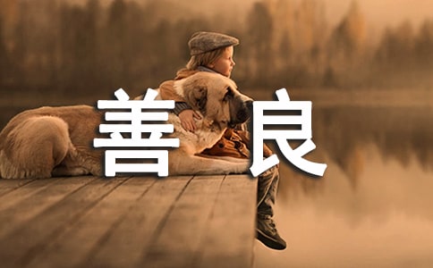 善良不需要回报六年级作文650字