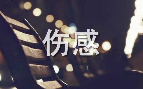 夜晚月光的伤感美文