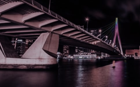 深夜窃读记五年级学生作文