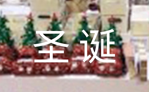 圣诞节联欢会小学作文400字