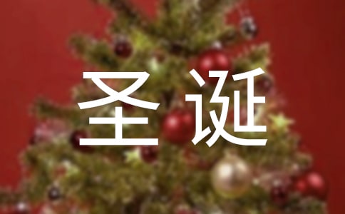 森林圣诞节三年级作文