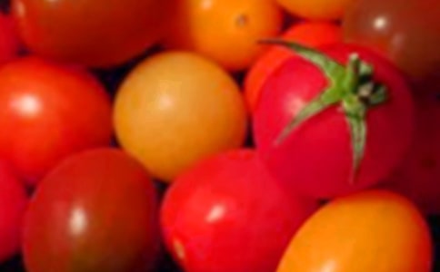 圣女果四年级学生作文