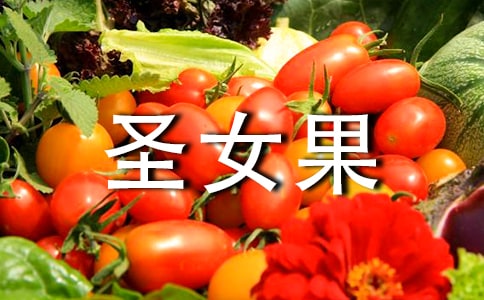 圣女果二年级作文