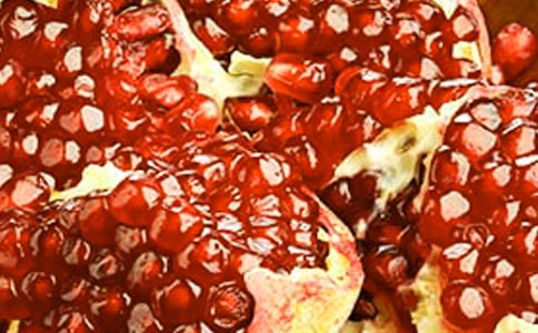 我家的香椿树和石榴树优秀作文