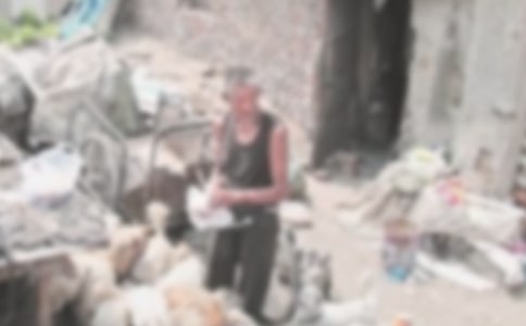 伟大的拾荒老人六年级作文