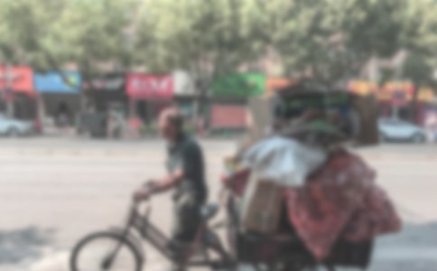 拾荒老人四年级作文