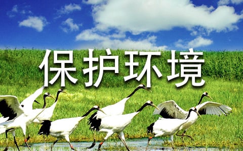保护环境作文300字3篇（实用）
