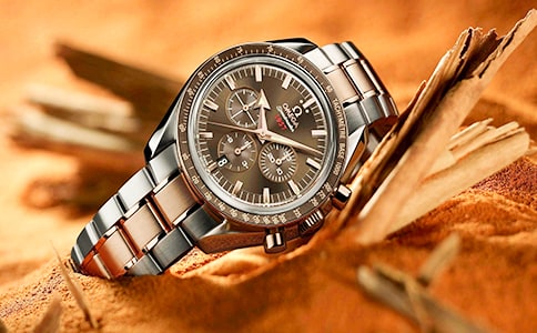 买手表五年级作文