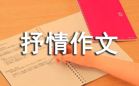 哦,忘了一个微笑抒情作文